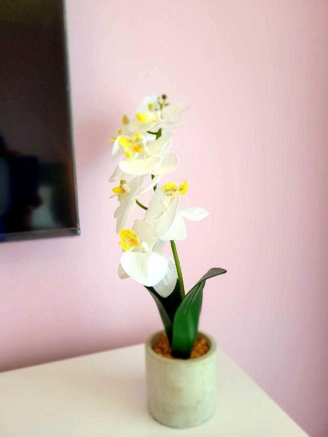 Eksclusive Apartment Paradise Down Town 6 Persons 3 Rooms คราคูฟ ภายนอก รูปภาพ